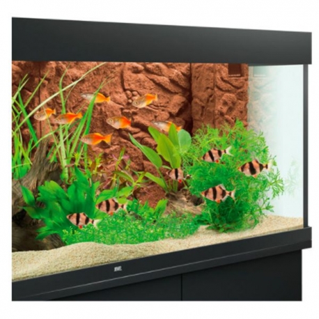 Image 1 - JUWEL Stone Clay - Paroi arrière d'aquarium - 600 x 550 mm Aqua Store