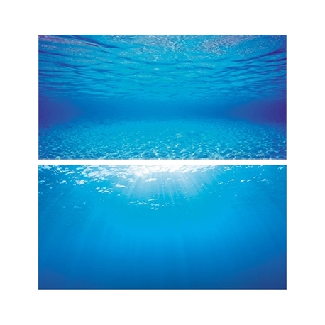 JUWEL Poster 2 - 2 faces - Eau bleu clair - S - 60x30 cm