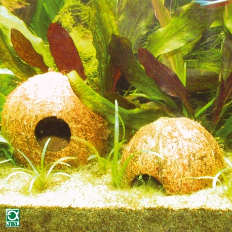 Image 1 - JBL Cocos Cava 3/4 L Grotte en écorce de noix de coco Aqua Store