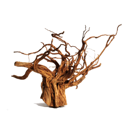 AQUA DECO Red Moor Wood - Racine de décoration pour aquarium Aqua Store
