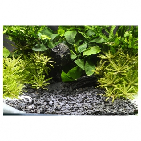 Image 2 - DENNERLE Gravier Plantahunter Baikal 3-8 mm - 5 kg Aqua Store