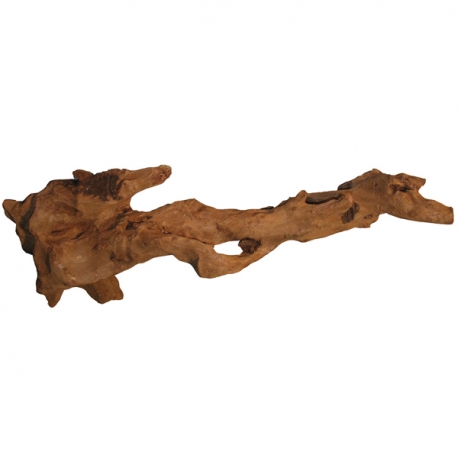 SUPERFISH Racine de Mangrove pour aquarium - 18 à 28 cm Aqua Store