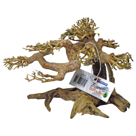 SUPERFISH Arbre Bonsai - Taille S Aqua Store