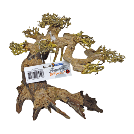 SUPERFISH Arbre Bonsai - Taille M Aqua Store