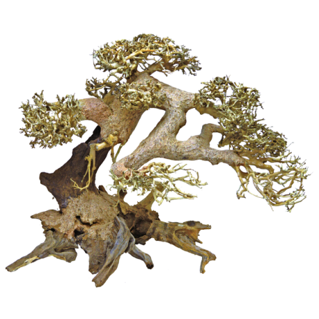 SUPERFISH Arbre Bonsai - Taille L Aqua Store