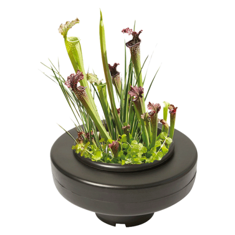SUPERFISH Floatting Pond Basket, Panier de Plantation Flottant pour bassin Ø22cm Aqua Store