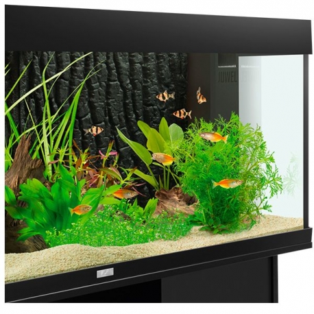 Image 2 - JUWEL STR - Paroi arrière d'aquarium - 595 x 500 mm Aqua Store