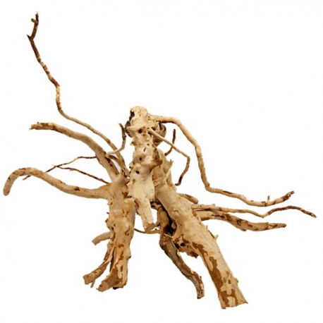 STOFFELS Spiderwood M Racine naturelle araignée pour aquarium - 30 à 40 cm