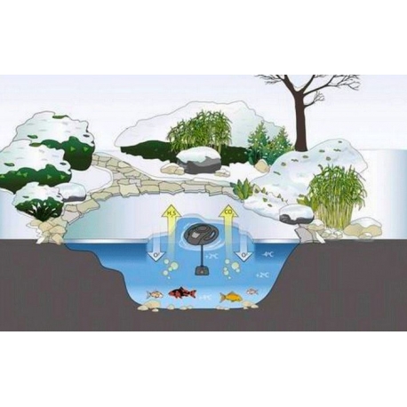 Image 2 - OASE IceFree 4 Seasons - Système anti-glace / Jet d'eau Aqua Store