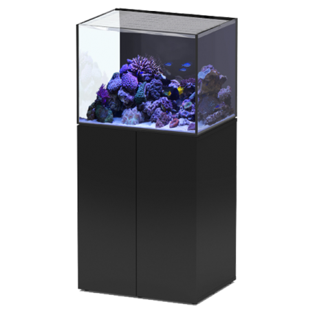 Aquarium AQUATLANTIS Aquaview 65 + Meuble Noir - 163 Litres Eau de Mer - Livraison incluse