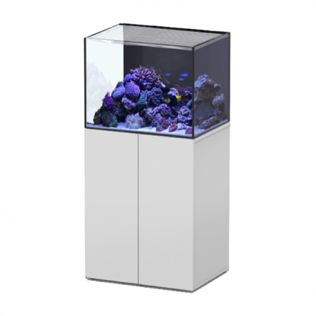 Aquarium AQUATLANTIS Aquaview 65 + Meuble Blanc - 163 Litres Eau de Mer - Livraison incluse