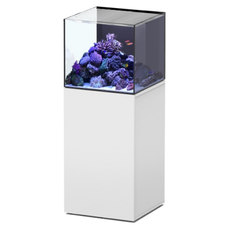 Aquarium AQUATLANTIS Aquaview 50 + Meuble Blanc - 113 Litres Eau de Mer - Livraison incluse