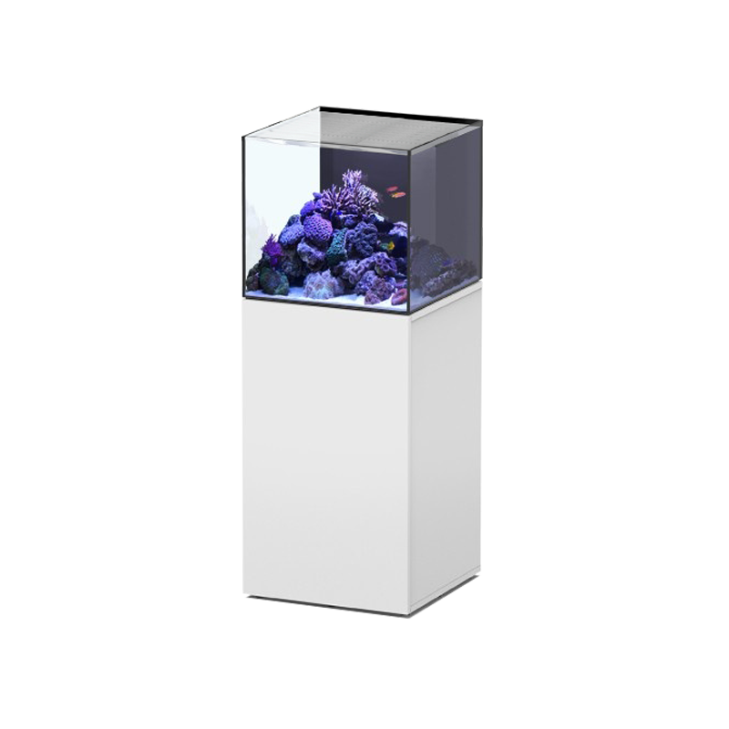 830+ Aquarium Design Eau De Mer HD Terbaik