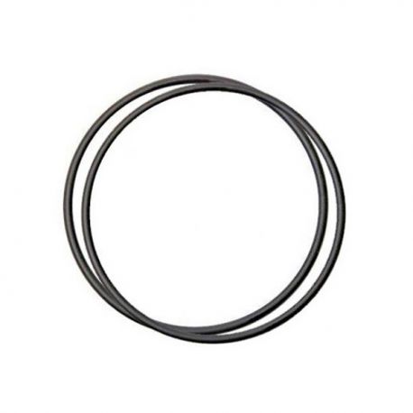 EHEIM 7221058 - Joint pour Pompe Universal 1200 et Filtre Professionel3 Aqua Store