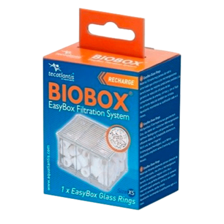 AQUATLANTIS EasyBox Glass Rings - Taille XS Aqua Store