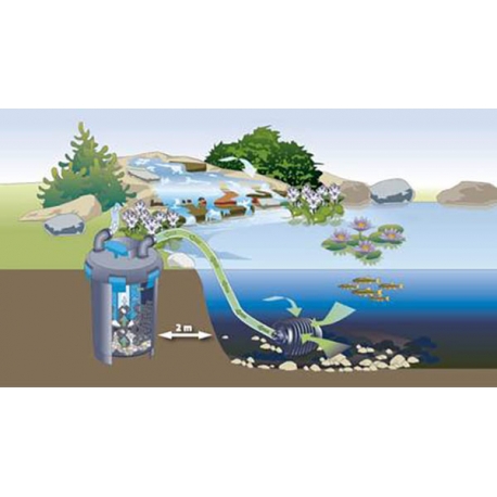 Image 1 - OASE BioPress Set 6000 - Filtre + UV + Pompe pour Bassin jusqu'à 6000 L Aqua Store