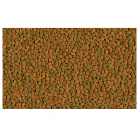 Image 1 - TETRA Wafermix - 100 ml Aqua Store