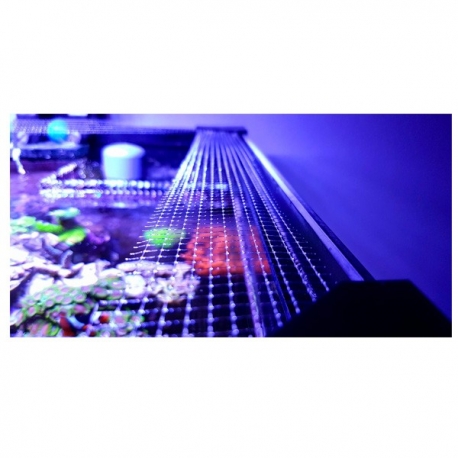 Image 2 - BANANAQUARIUM FishGuard - Filet de protection pour aquarium Aqua Store