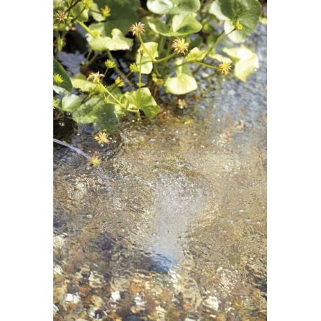 Image 1 - OASE AquaOxy 1000 - Kit Aération Bassin - 1000 L/H Aqua Store