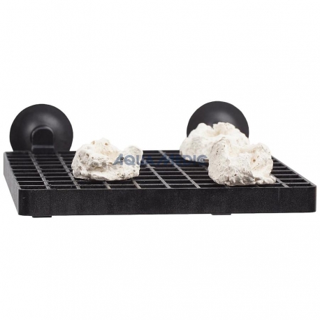 AQUA MEDIC Plaque support boutures coraux Aqua Store