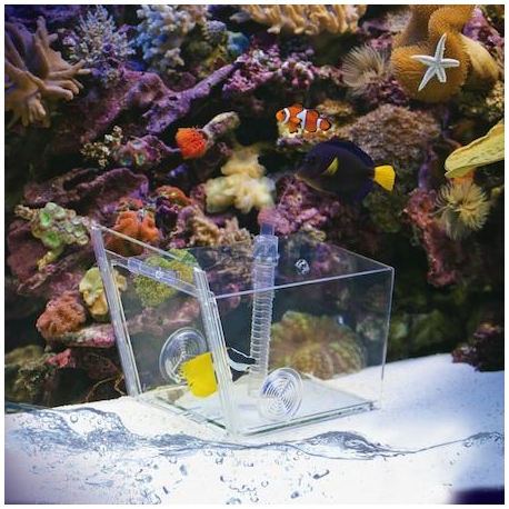 Image 1 - AQUA MEDIC Piège à poissons "Fish Trap" Aqua Store
