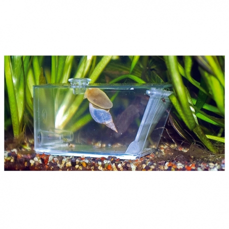 Image 2 - AQUA MEDIC Trap-pest - Piège à Escargots Aqua Store