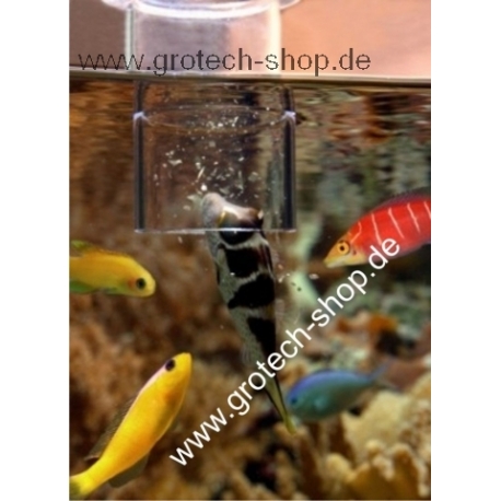 Image 1 - GROTECH Cylindre d'alimentation pour poissons Aqua Store