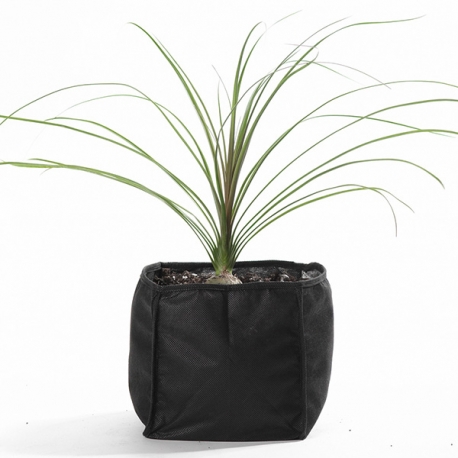 Image 1 - VELDA Panier de plantation pour bassin 25x25x20cm Aqua Store