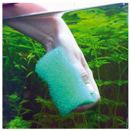 Eponge pour le nettoyage des vitres d'aquarium - JBL Spongi