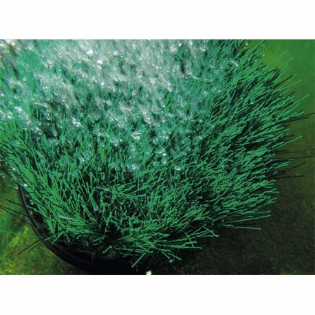 Image 1 - OASE OxyTex Set 500 - Kit Aération Bassin + OxyTex - 500 L/H Aqua Store