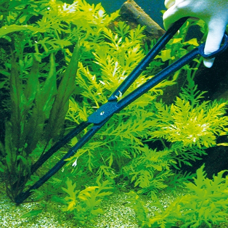 Image 1 - JBL CombiFix Pince à planter 46 cm Aqua Store