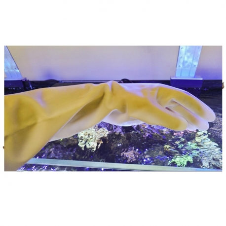 Image 1 - AQUA MEDIC Aqua Gloves - Gants en latex extra-long M Aqua Store