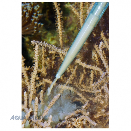 Image 1 - AQUA MEDIC - Pipette de nourrissage 60 cm Aqua Store