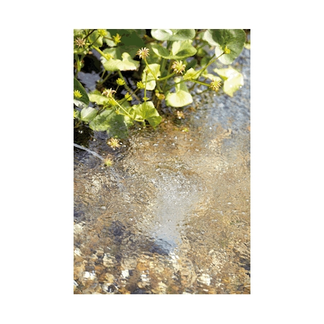 Image 1 - OASE AquaOxy 500 Pompe d'aération pour Bassin Aqua Store