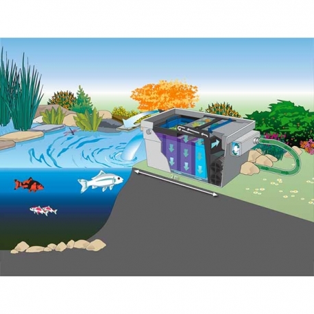 Image 4 - OASE BioTec ScreenMatic 2 Set 60 000 - Filtre + UV + Pompe pour Bassin jusqu'à 60000 L Aqua Store