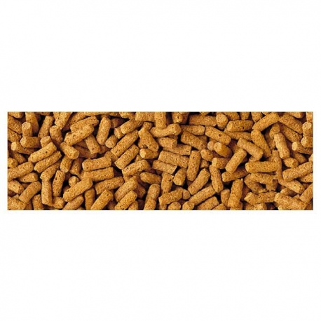 Image 1 - TETRA Pond Wheatgerm Sticks - 10 L Aqua Store