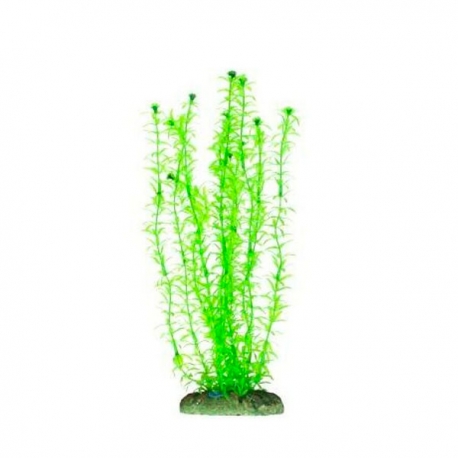 AQUA NOVA Elodée - Plante artificielle pour aquarium - Hauteur 30 cm