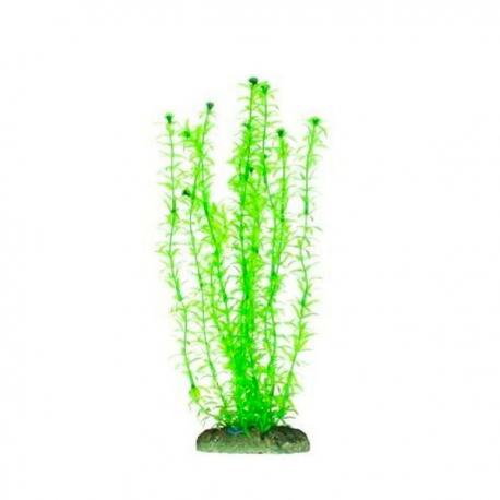 AQUA NOVA Elodée - Plante artificielle pour aquarium - Hauteur 30 cm Aqua Store