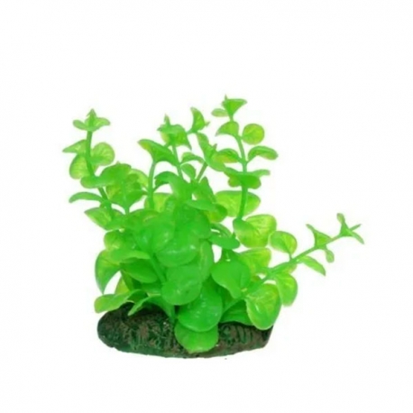 AQUA NOVA Lysimachia - Plante artificielle pour aquarium - Hauteur 10 cm