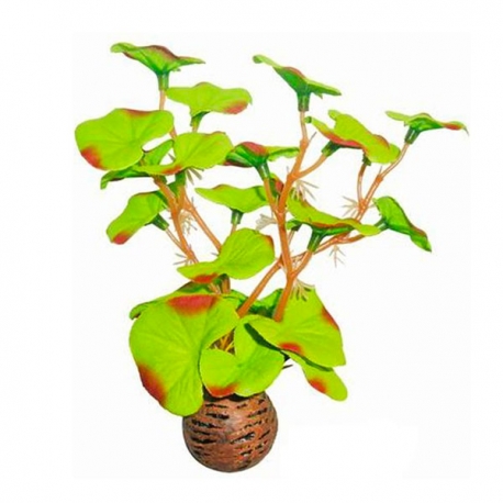 SUPERFISH Easy Plants Lysimachia - Plante artificielle pour aquarium