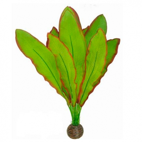 SUPERFISH Easy Plants Aponogeton - Plante artificielle pour aquarium Aqua Store