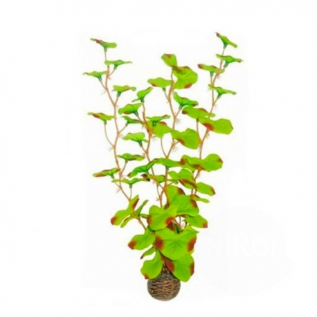 SUPERFISH Easy Plants High 13 - Plante artificielle pour aquarium Aqua Store