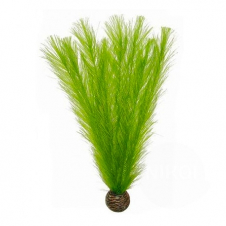 SUPERFISH Easy Plants Cabomba - Plante artificielle pour aquarium Aqua Store