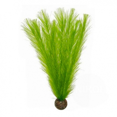 SUPERFISH Easy Plants Cabomba - Plante artificielle pour aquarium