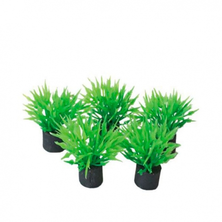 SUPERFISH Easy Plants Nano Plugs 2 cm - Plante artificielle pour aquarium - Lot de 5