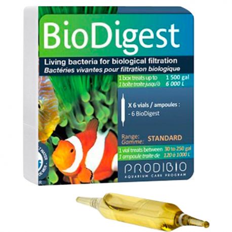 PRODIBIO BioDigest - 6 Ampoules