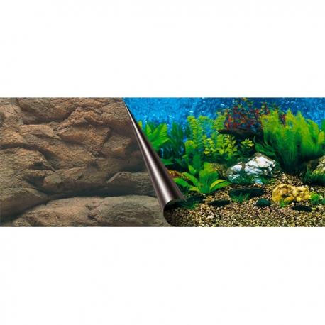 EBI Sea/Rock 60 x 30 cm - Aquarium/Pierre - Poster pour aquarium Aqua Store
