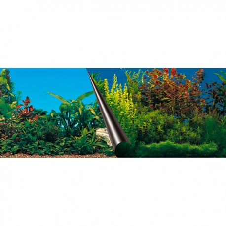 EBI Beauty/Sea 120 x 50 cm - Poster pour aquarium Aqua Store