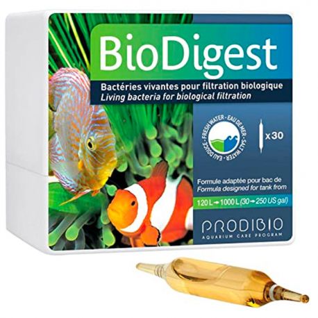 PRODIBIO BioDigest - 30 Ampoules