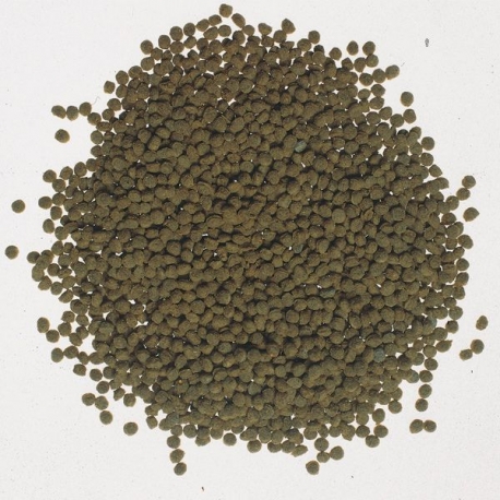 Image 1 - TETRA Goldfish Gold Colour Granulés - 250 ml Aqua Store